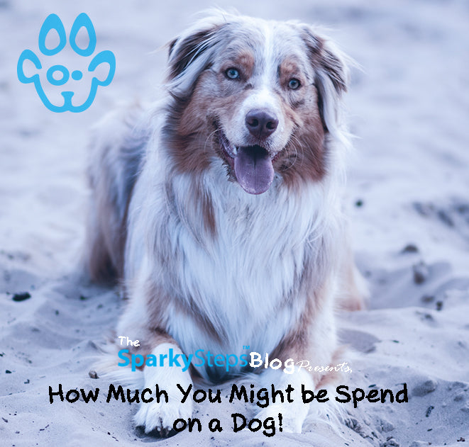 How Much You Might Spend on Owning a Dog