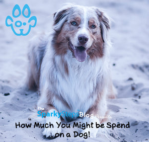 How Much You Might Spend on Owning a Dog