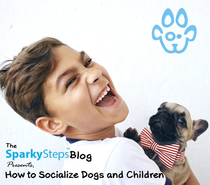 How to Socialize Dogs and Children