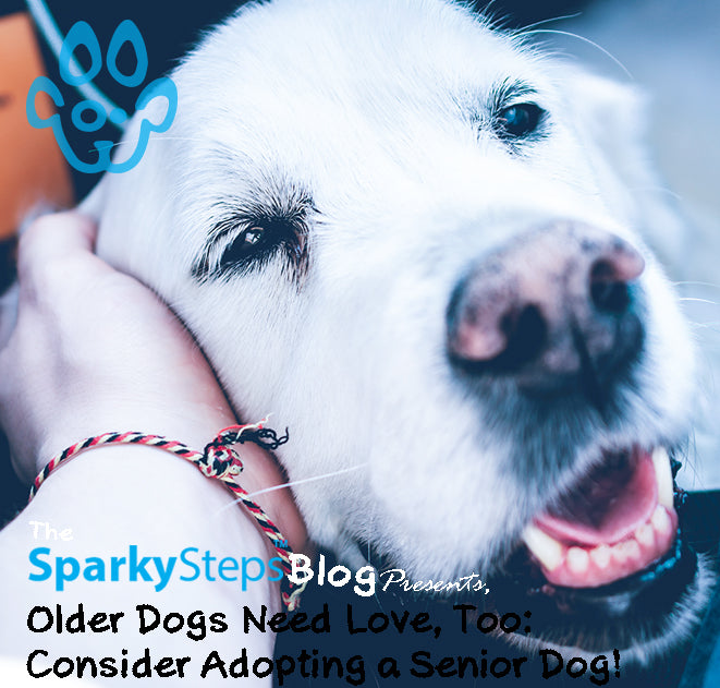 Older Dogs Need Love, Too: Consider Adopting a Senior Dog!