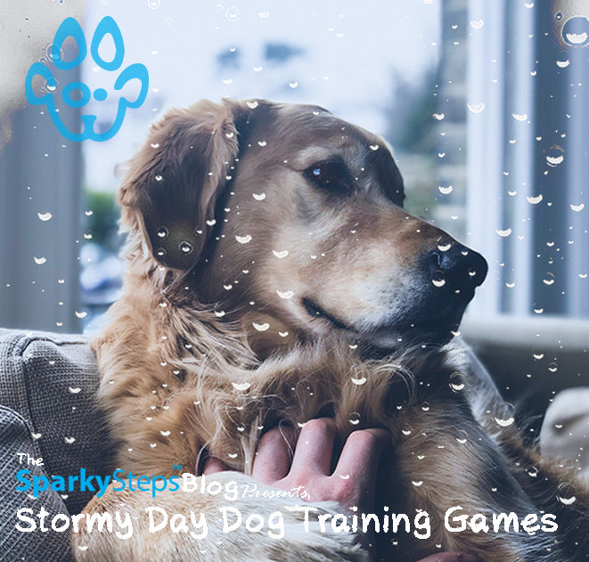 Stormy Day Dog Training Games