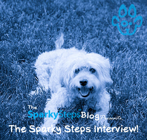 The Sparky Steps Interview