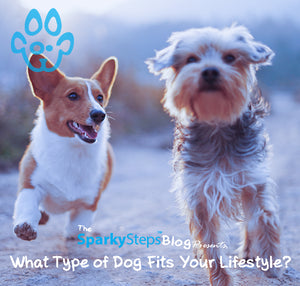 What Type of Dog Fits Your Lifestyle?