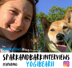 Interview with Yogibearii