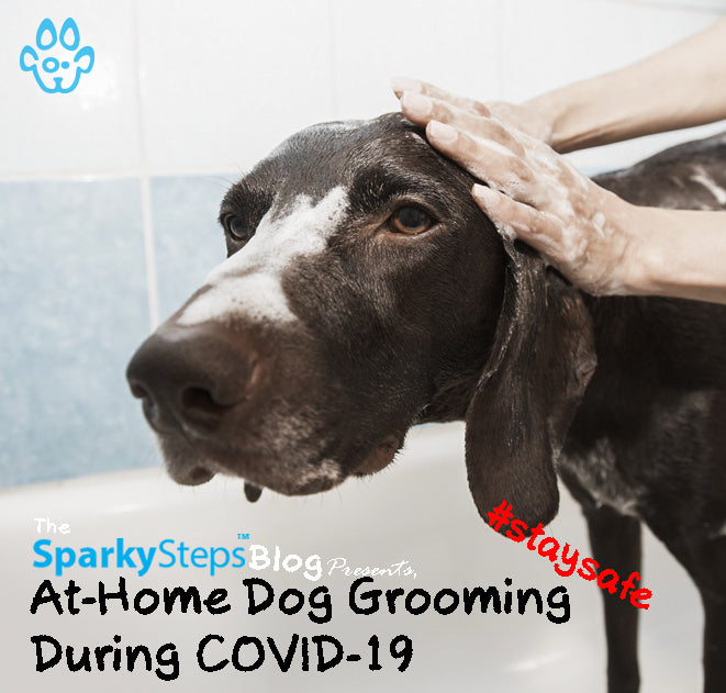 At-Home Dog Grooming During COVID-19