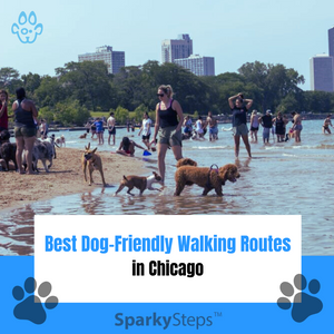 Best Dog-Friendly Walking Routes in Chicago