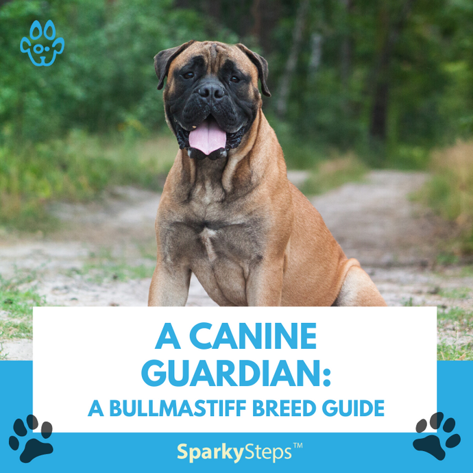 A Canine Guardian: A Bullmastiff Breed Guide