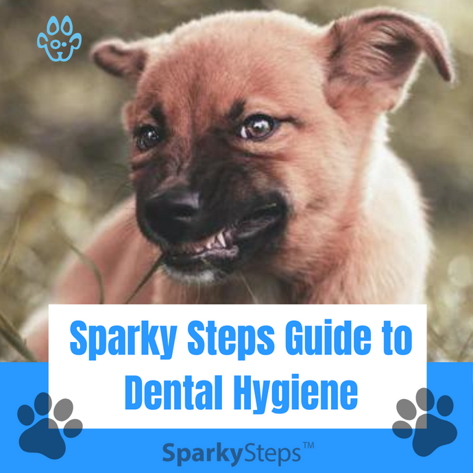 The Struggles and Triumphs of Brushing Your Dog's Teeth: A Sparky Steps Guide to Dental Hygiene