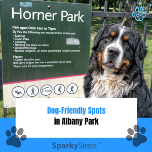 Dog-Friendly Spots in Albany Park That You and Your Pup Will Love