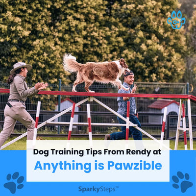 Dog Training Tips From Rendy at Anything is Pawzible