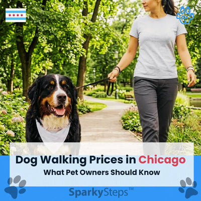 Dog Walking Prices in Chicago: What Pet Owners Should Expect to Pay