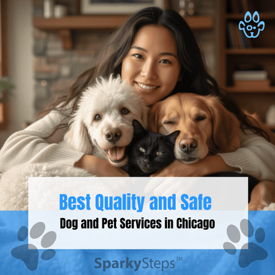 Best Quality and Safe Dog and Pet Services in Chicago
