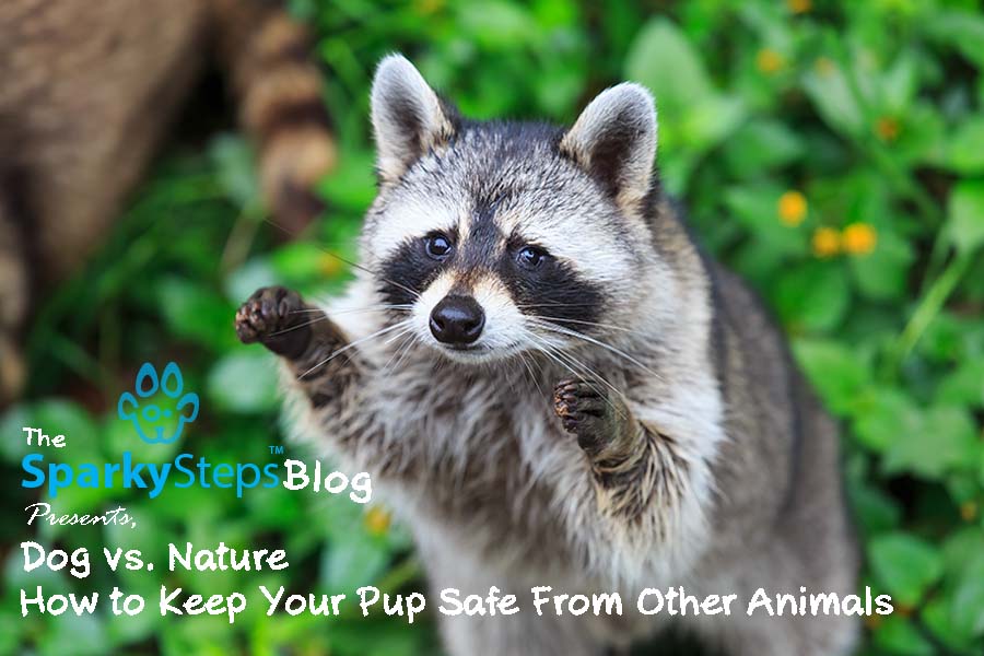 Dog vs. Nature: How to Keep Your Pup Safe From Other Animals