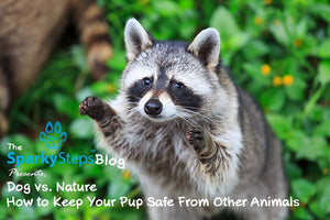 Dog vs. Nature: How to Keep Your Pup Safe From Other Animals
