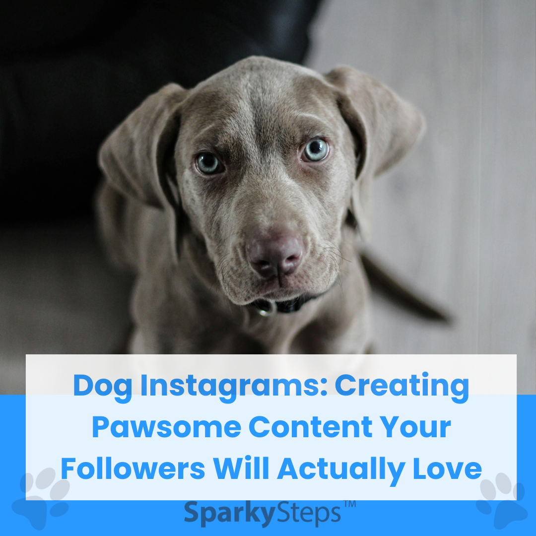 Dog Instagrams: Create Content Your Followers Love – Sparky Steps