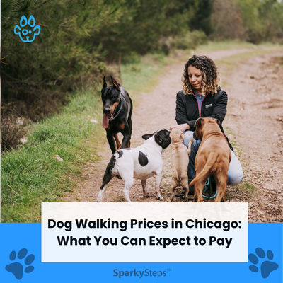 Dog Walking Prices in Chicago: What You Can Expect to Pay
