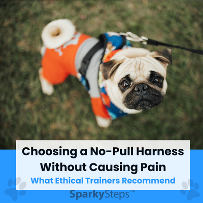 Choosing a No-Pull Harness Without Causing Pain: What Ethical Trainers Recommend