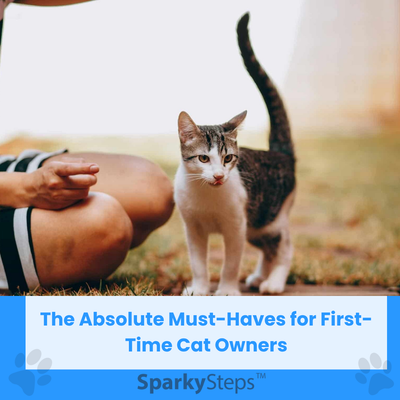 The Absolute Must-Haves For First-Time Cat Owners In Their Home