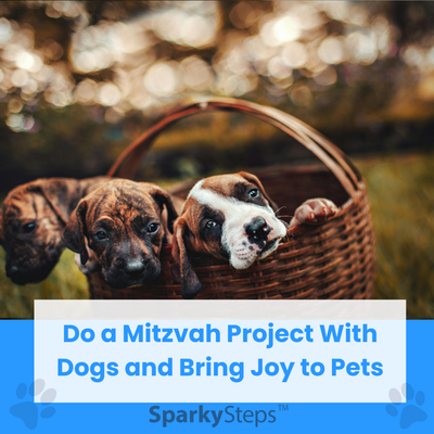 Do a Mitzvah Project With Dogs: Bring Joy to Pets in Need