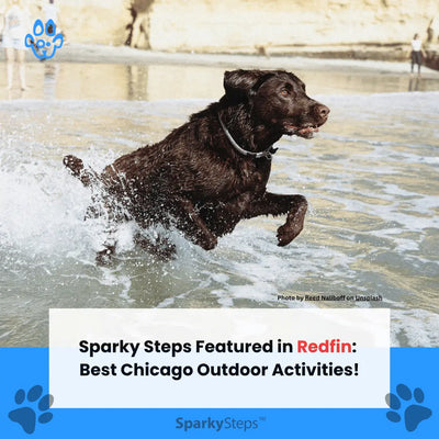 Sparky Steps Featured in Redfin: Best Chicago Outdoor Activities!