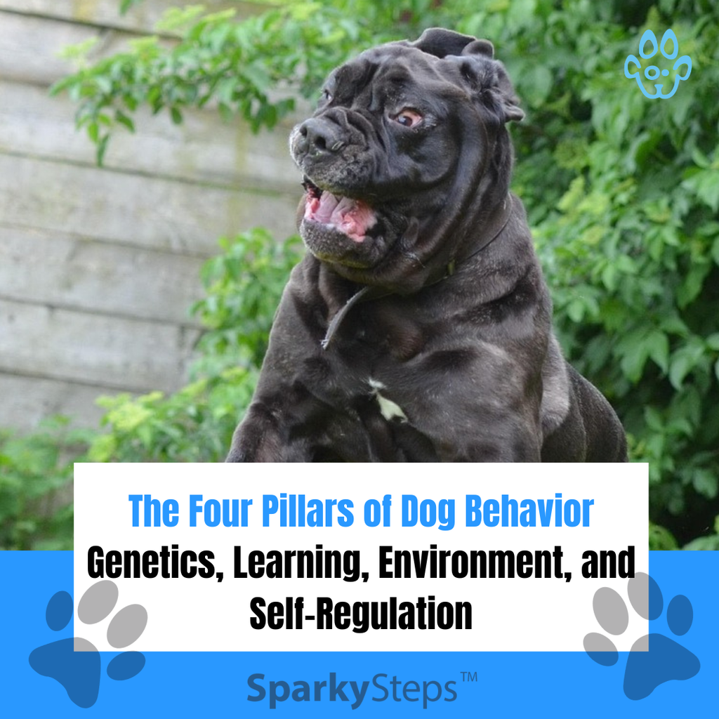 The Four Pillars of Dog Behavior: Genetics, Learning, Environment, and Self-Regulation