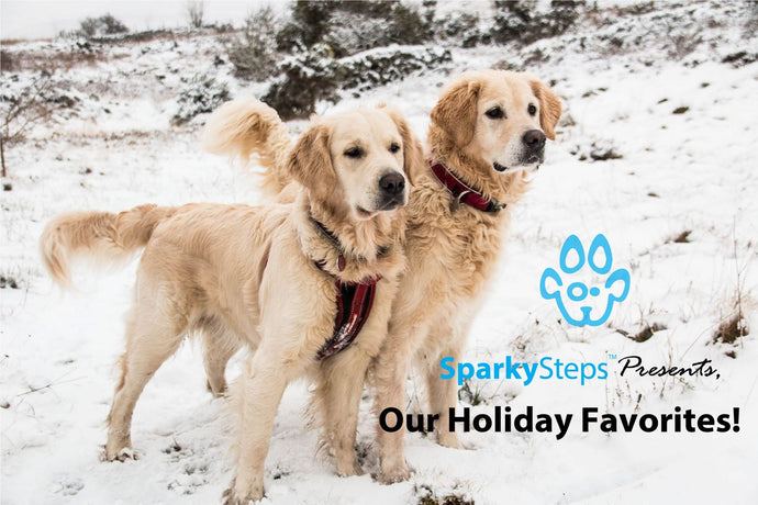 Our Holiday Favorites