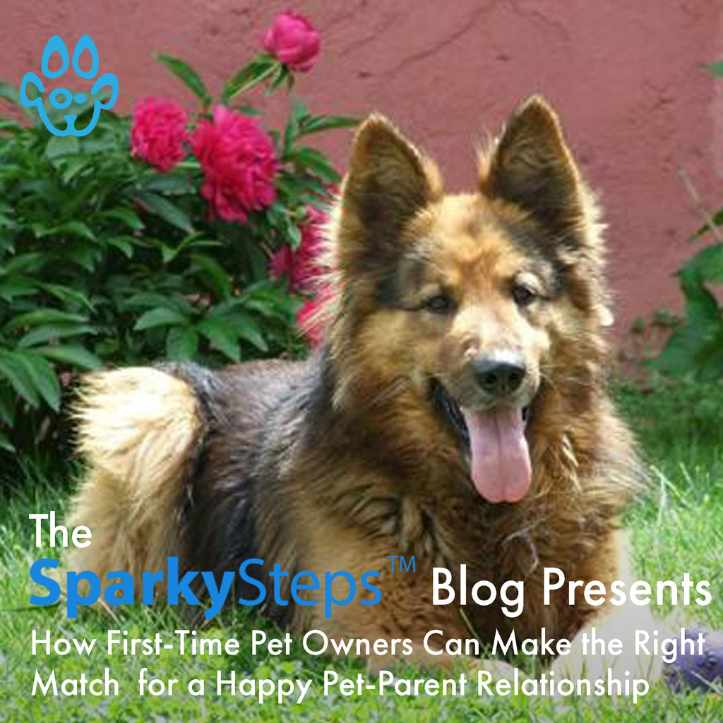 How First-Time Pet Owners Can Make the Right Match  for a Happy Pet-Parent Relationship