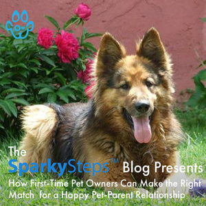 How First-Time Pet Owners Can Make the Right Match  for a Happy Pet-Parent Relationship