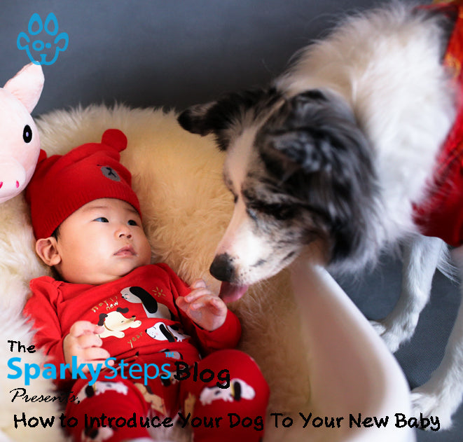 How to Introduce Your Dog To Your New Baby