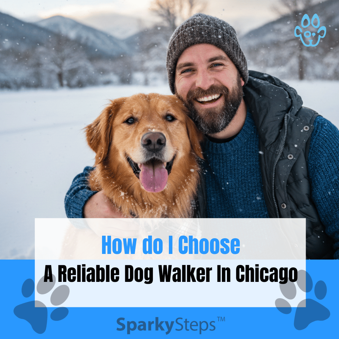 How do I Choose A Reliable Dog Walker In Chicago