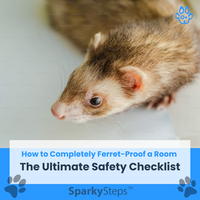 How to Completely Ferret-Proof a Room: The Ultimate Safety Checklist