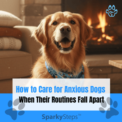 Coping with Crisis: Supporting Anxious Dogs When Routines Fall Apart