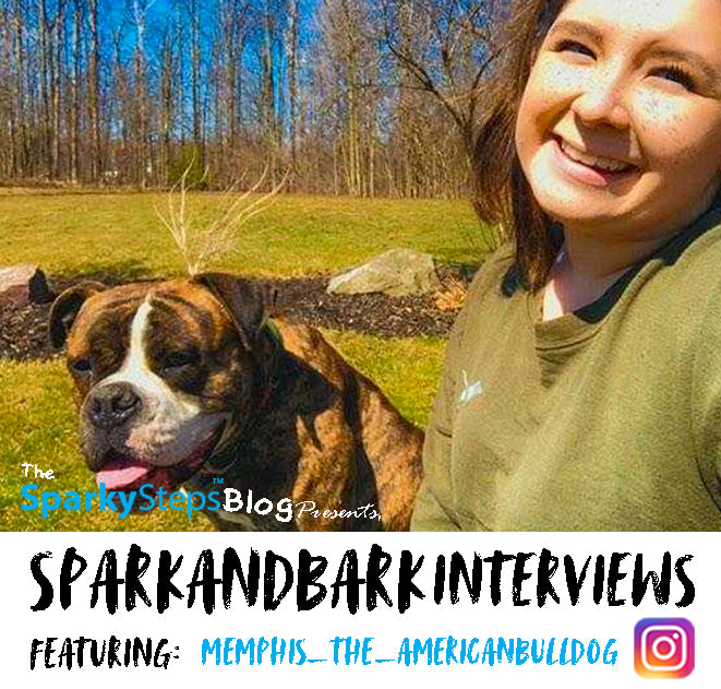 Interview With Memphis_The_AmericanBulldog