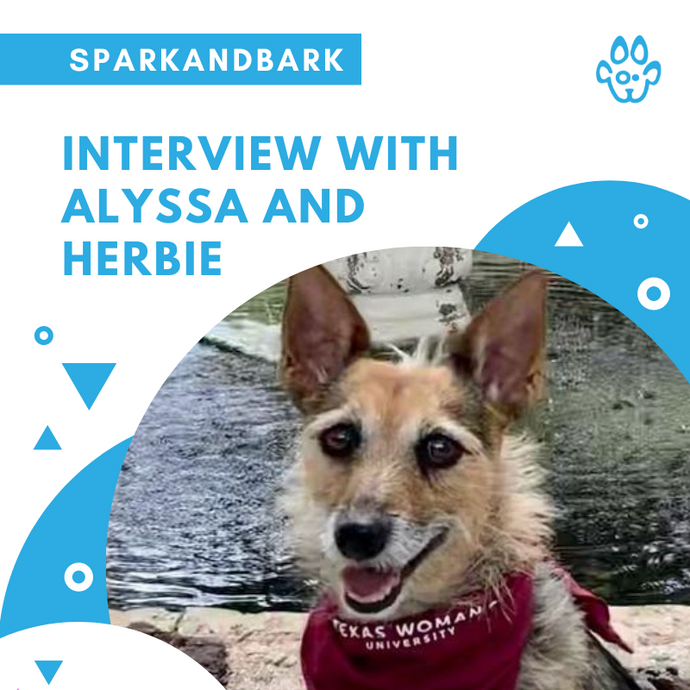 Interview With Alyssa and Herbie