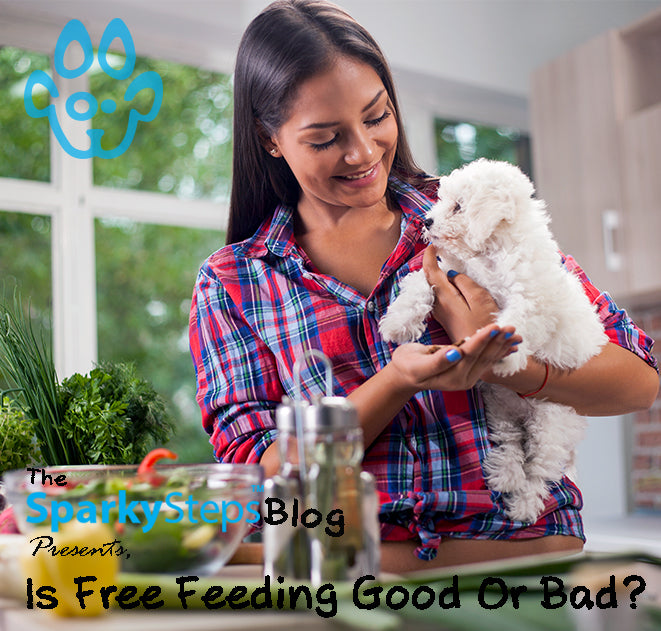 Should i free feed my dog 2025