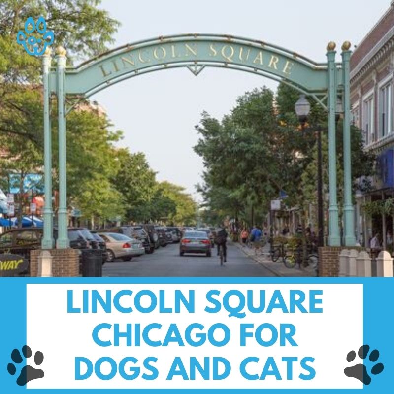 Lincoln Square Chicago for Dogs and Cats
