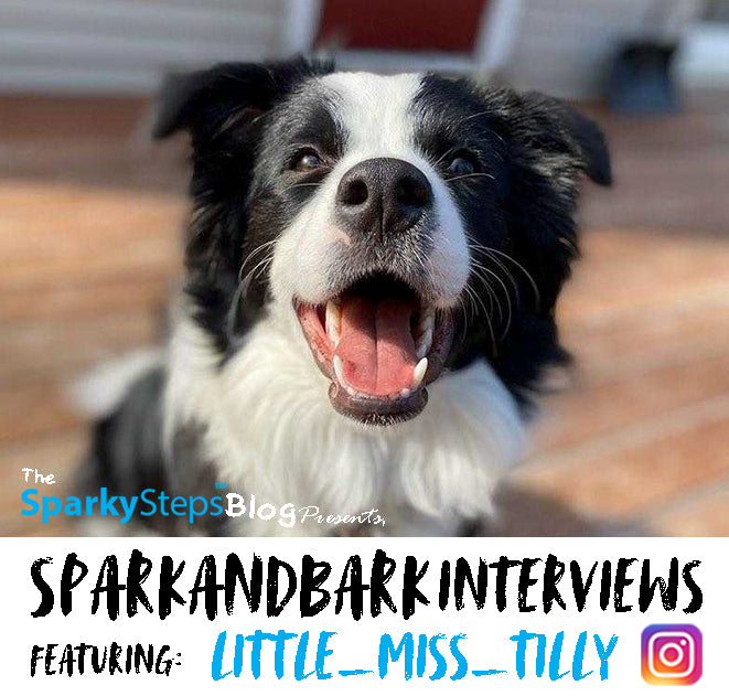 Interview with Little_Miss_Tilly