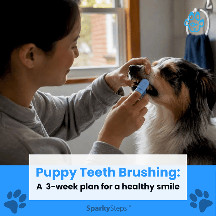 Finger brushing dog's teeth with enzymatic toothpaste