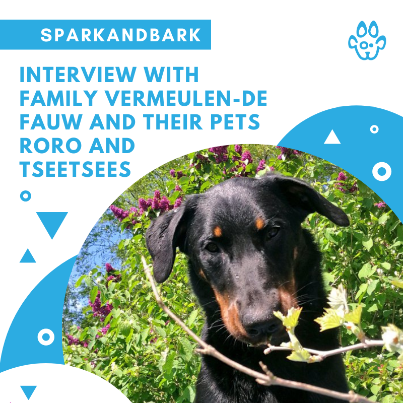 Interview With Family Vermeulen-De Fauw and Their Pets Roro and Tseetsee