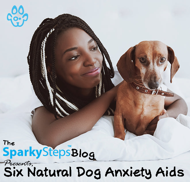 Six Natural Dog Anxiety Aids