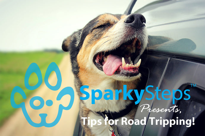 Five Steps to Make a Trip With Your Pet Go Without a Hitch