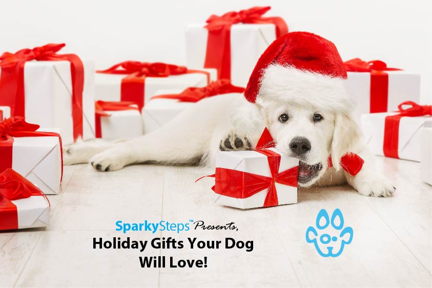 Holiday Gifts Your Dog Will Love
