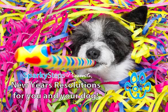 New Year’s Resolutions For You and Your Dog