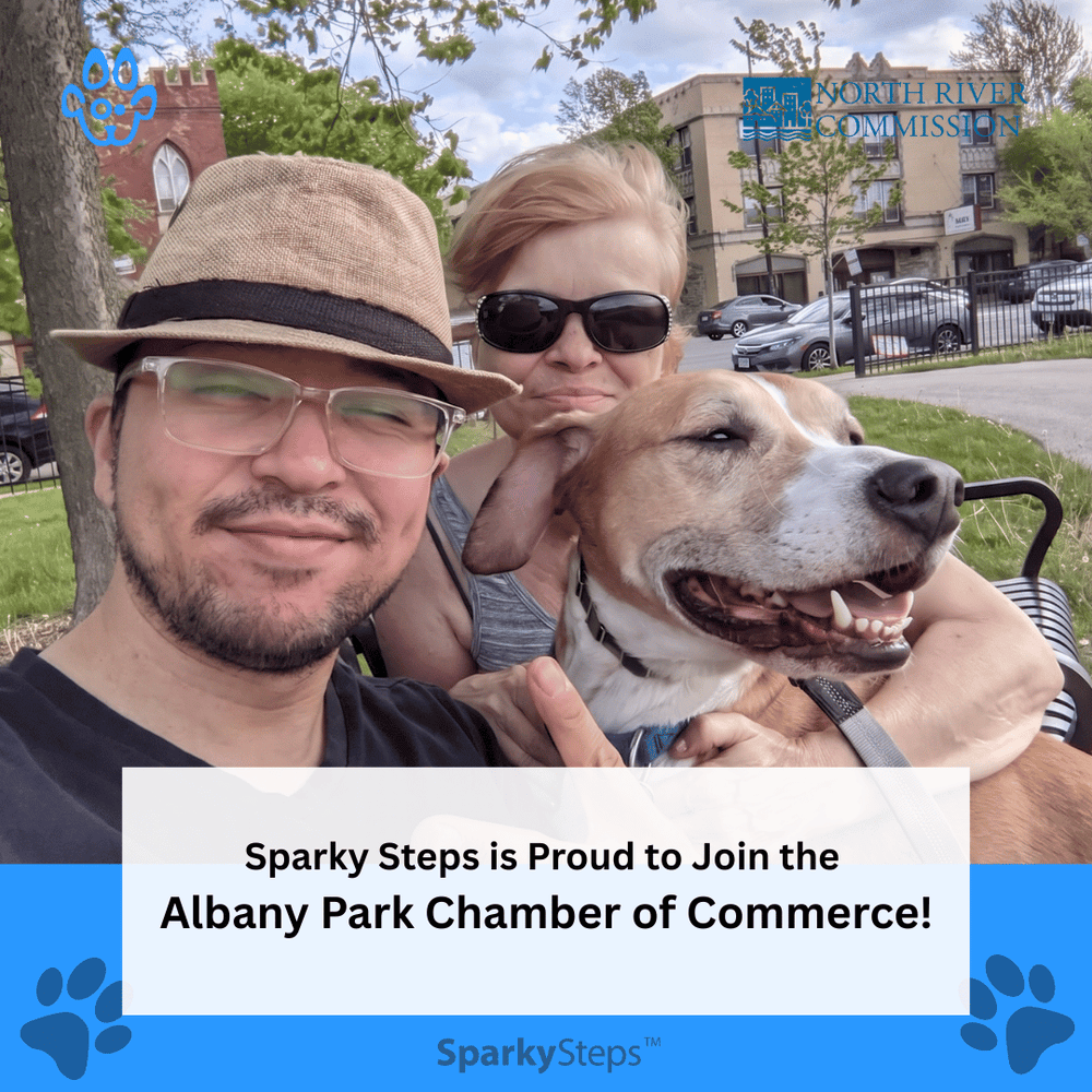 Sparky Steps - Albany Park Chamber of Commerce
