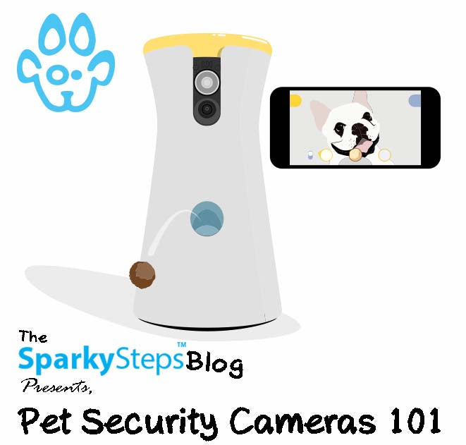 Pet Security Cameras 101: Handy Shopping Guidelines