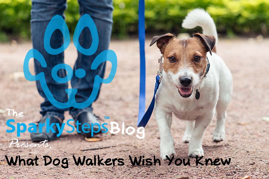 What Dog Walkers Wished You Knew