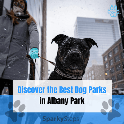 Discover the Best Dog Parks in Albany Park