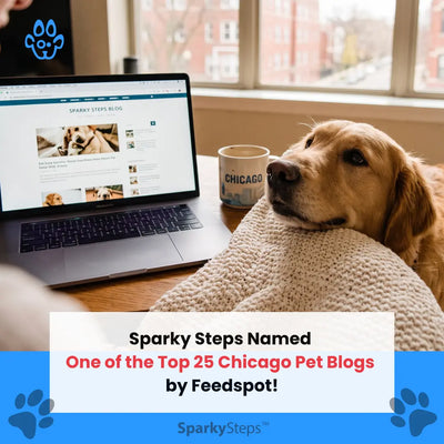 Sparky Steps Named One of the Top 25 Chicago Pet Blogs by Feedspot!