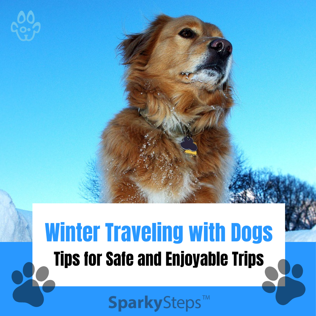Winter Traveling with Dogs: Tips for Safe and Enjoyable Trips – Sparky ...