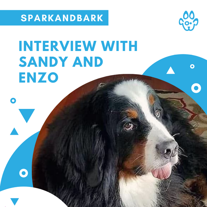 Interview With Sandy And Enzo